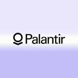 Portfolio1-palantir2